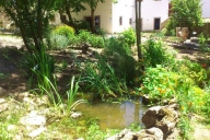 Jardim / Garden